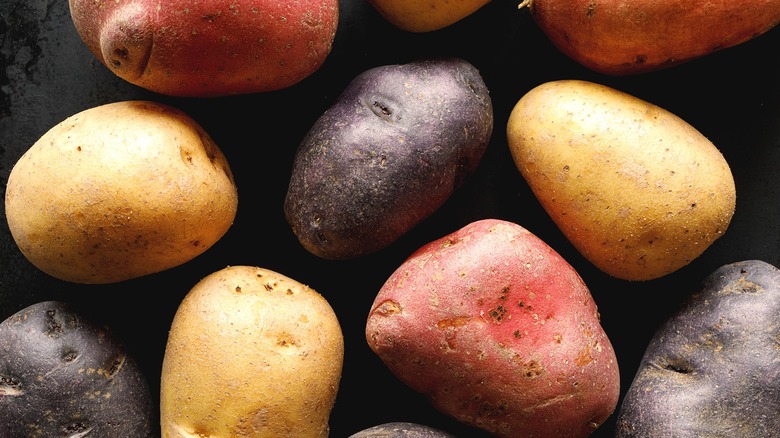 Many different-colored potatoes