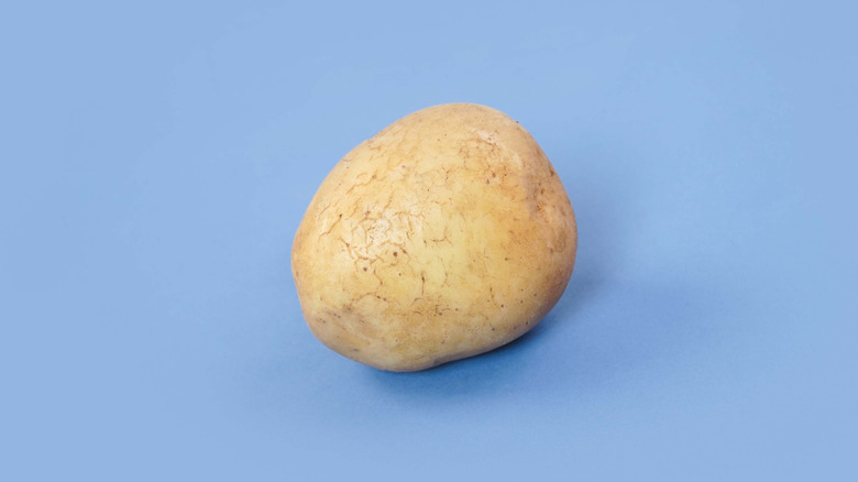 A single potato on a blue background