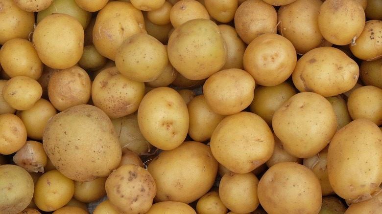 A close-up of a pile of yellow potatoes