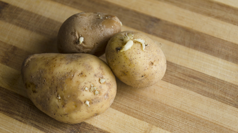 Three potatoes with small sprouts