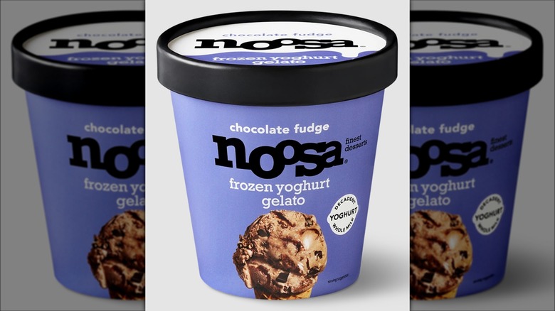 noosa chocolate fudge frozen yogurt