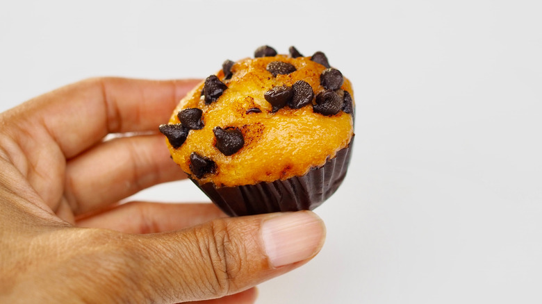 person holding chocolate chip muffin