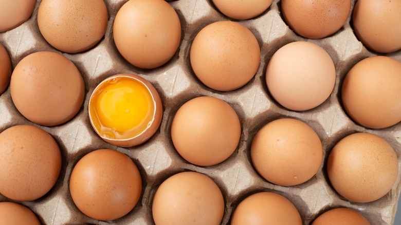 Eggs in cardboard tray