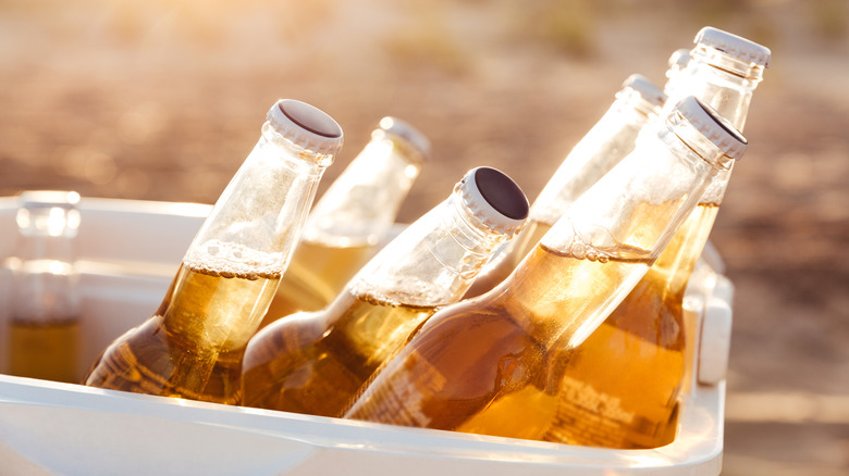 Clear glass beer bottles in cooler