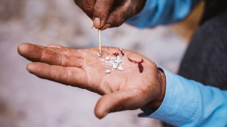 hand holding cochineal beetles