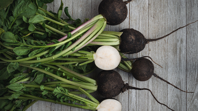 Black Spanish radish in bunches