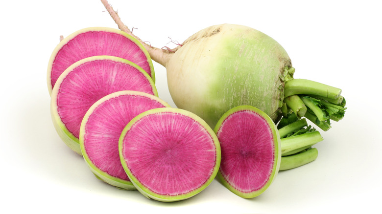 Watermelon radish sliced