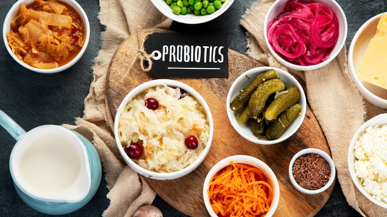 fermented foods and probiotics