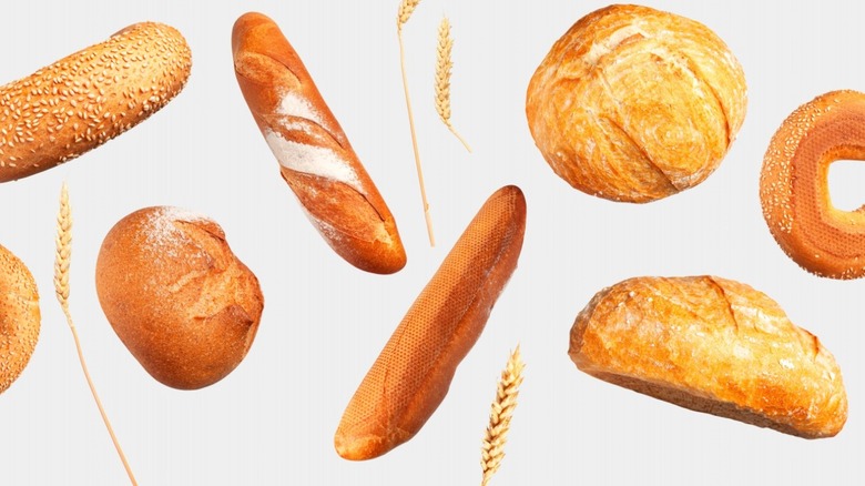 Different loaves of bread and wheat white background