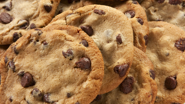 Plate of freshly baked chocolate chip cookies