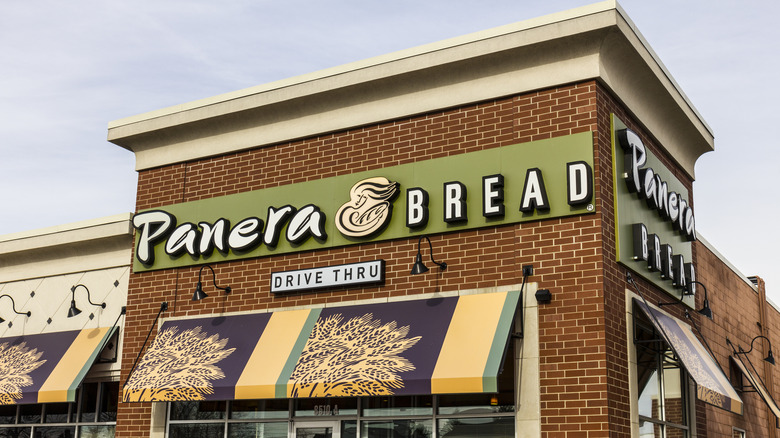 panera bread building