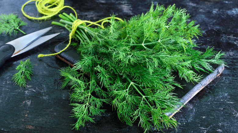 bunch of dill on chopping board