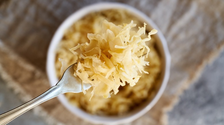 sauerkraut on fork