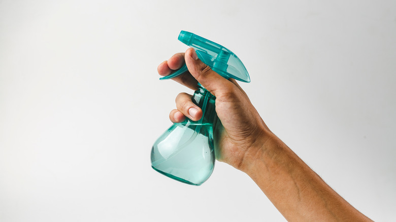 person holding plastic spray bottle