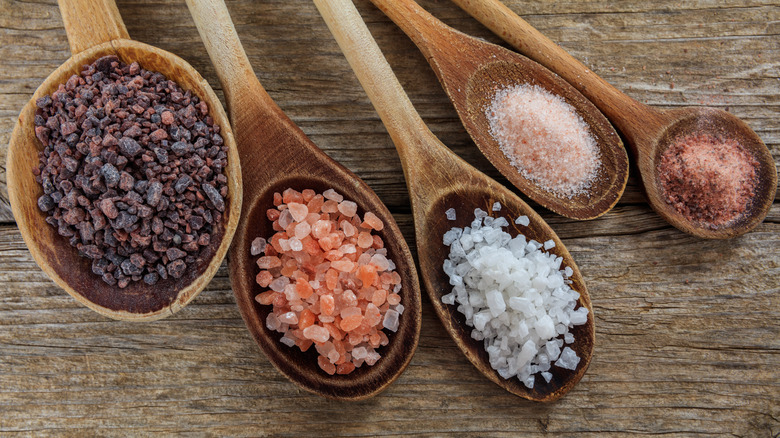 spoons with different types of salts