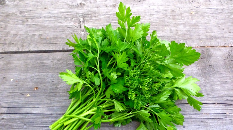 bunch of parsley