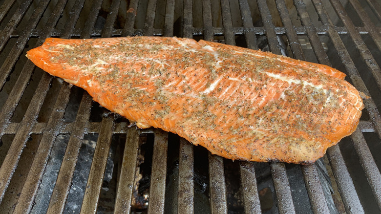 Fresh salmon being grilled on gas grill