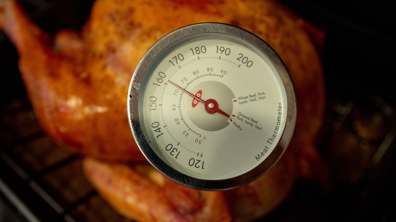 meat thermometer in turkey