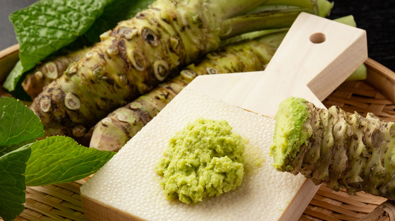 fresh green wasabi on board