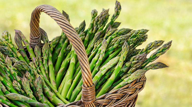 basket of fresh asparagus