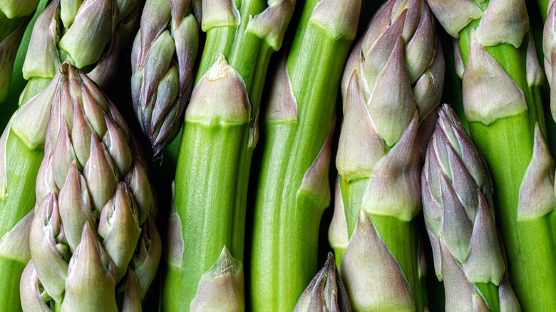 asparagus tips