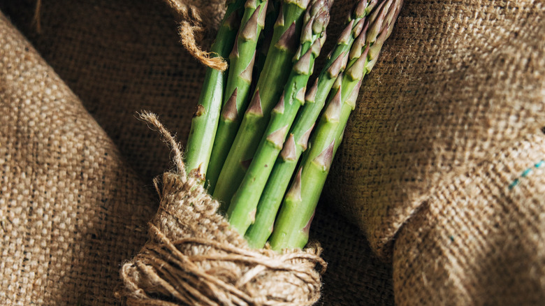 asparagus wrapped in string