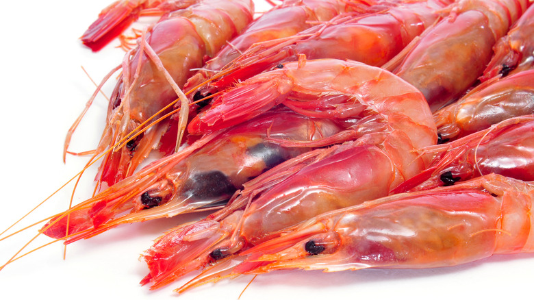 Pile of Atlantic shrimp