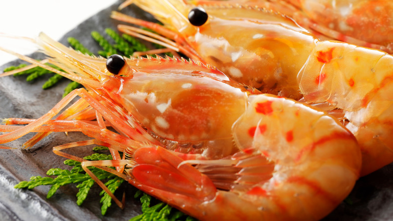 Spot prawns on plate