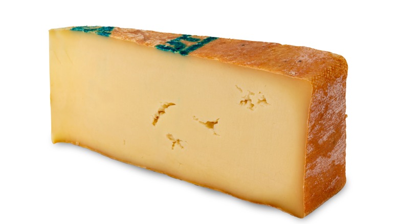 slice of italian fontina cheese