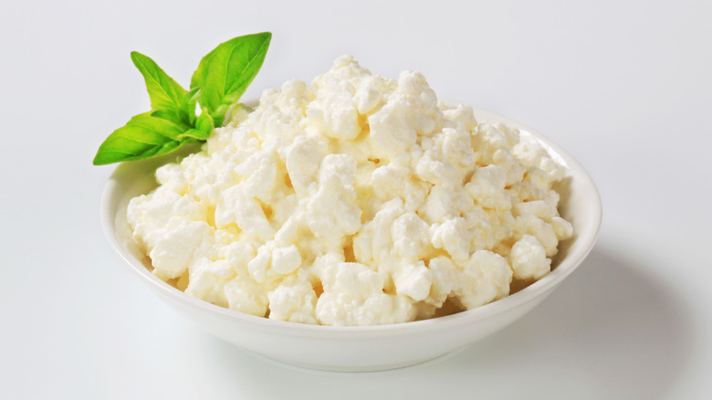 Cottage cheese in bowl