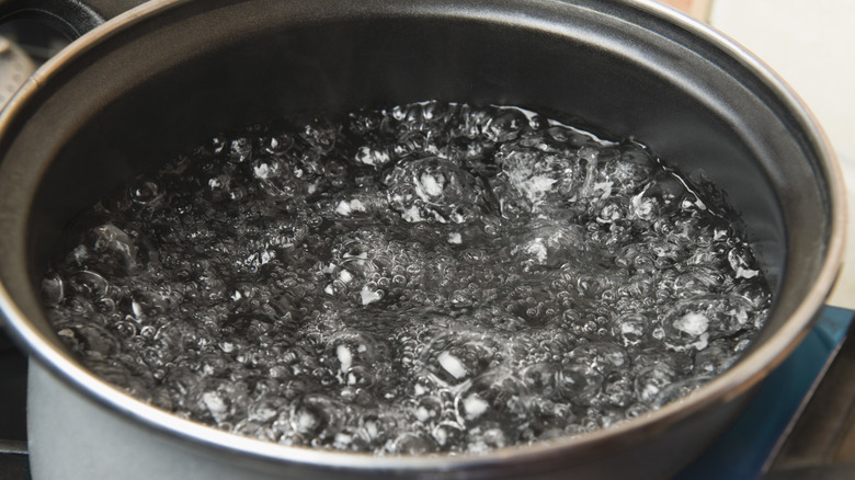 Water boiling in large pot