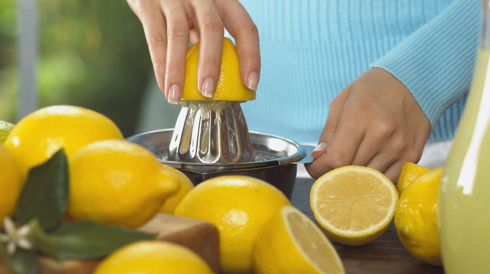 Exportation and sale of lemon verna - Snature Citrus - Lemons