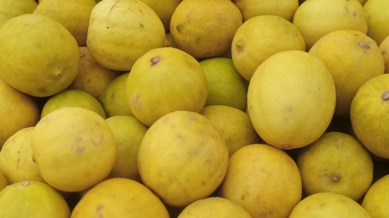 Primofiori Lemons