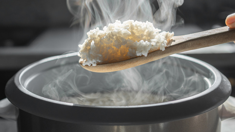 cooked rice on wooden spoon