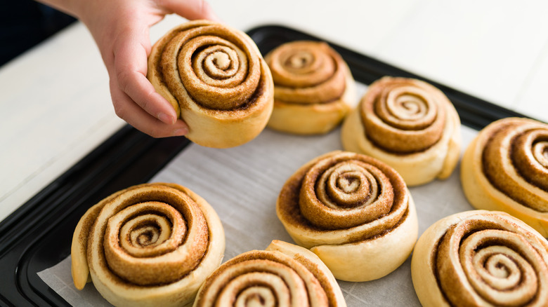 cinnamon rolls on baking pan