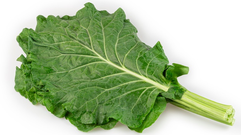 kale with thick center rib