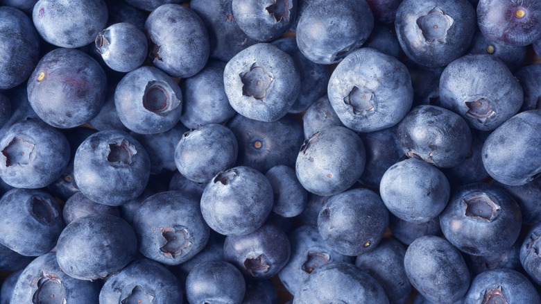 Fresh blueberries