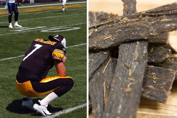 Ben Roethlisberger and Big Ben's Beef Jerky 