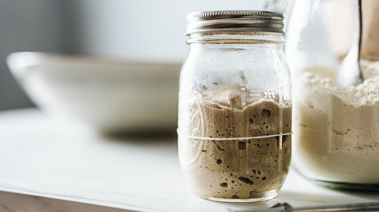 sourdough starter in jar