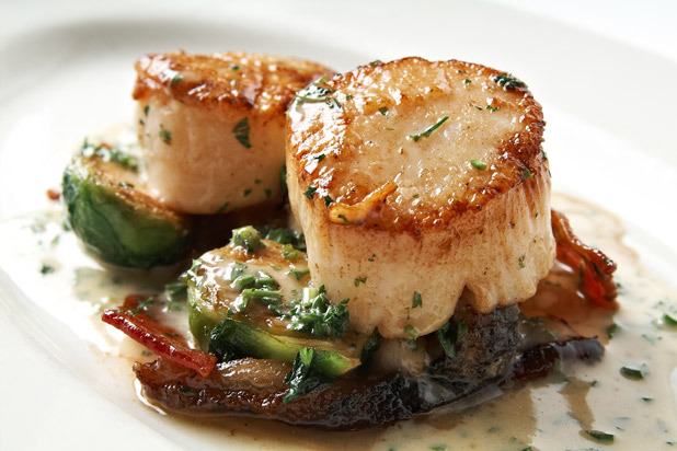 Honey-Glazed Scallops with Tempura Brussels Sprouts and Parsnip Purée Recipe