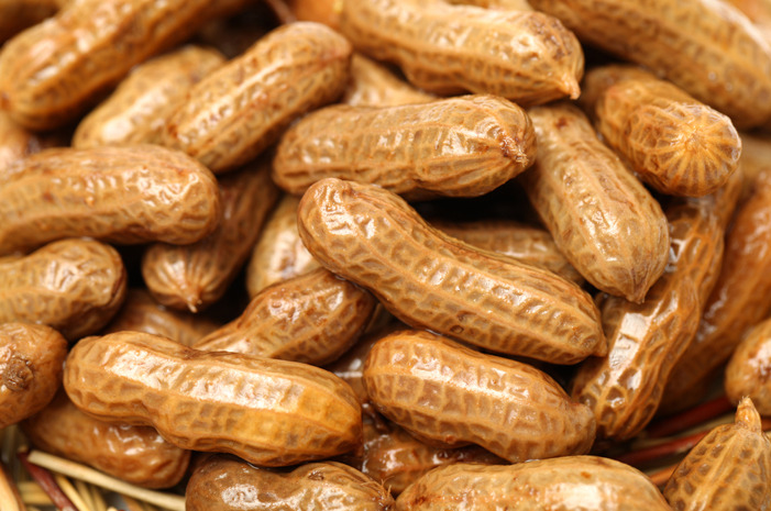 Boiled Peanuts