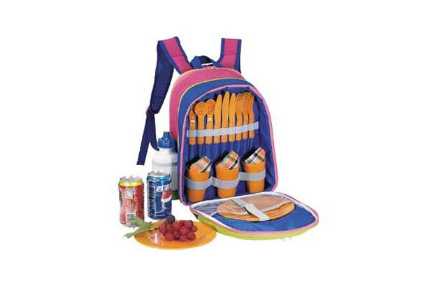 1. Picnic Backpacks