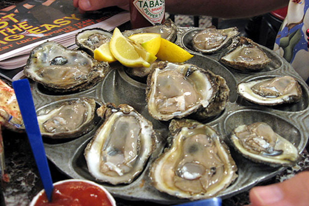 Oysters