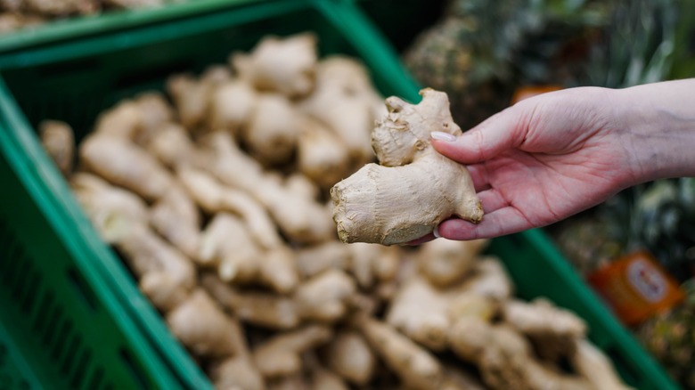 Person holding ginger root 