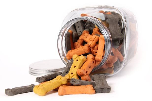 Cookie Jar Filled with Dog Treats