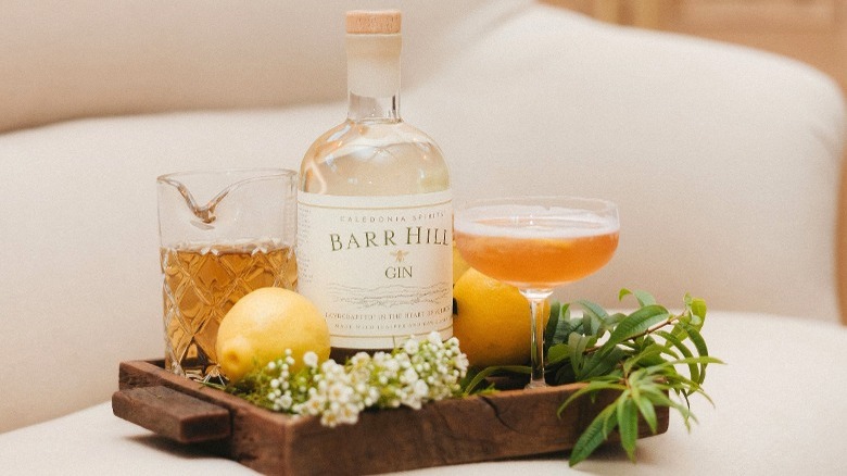 Barr Hill Gin bottle and glasses