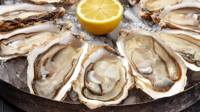 Raw oysters with lemon