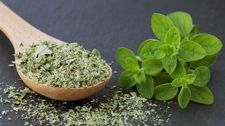 Spoon of dried marjoram