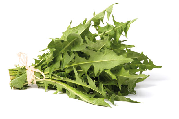 Dandelion Greens