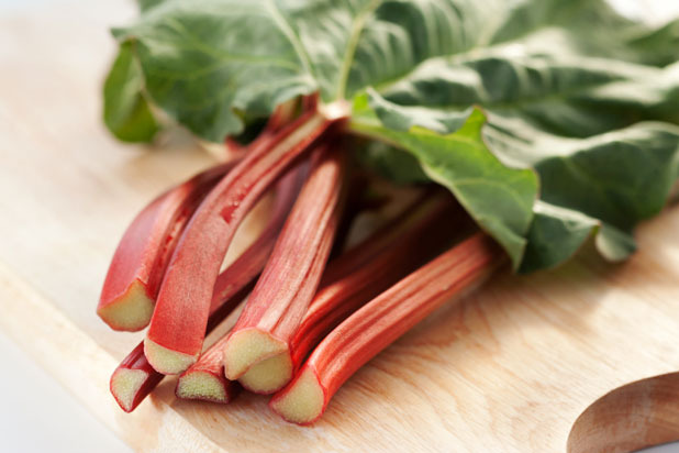 Rhubarb